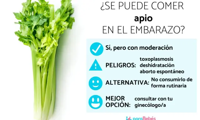 Un manojo de apio fresco junto a un texto que pregunta si se puede comer apio en el embarazo, con consejos y advertencias.
