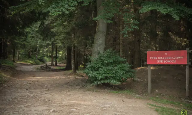 Leśna ścieżka w Parku Krajobrazowym Gór Sowich. Czerwony znak informuje o trasie.