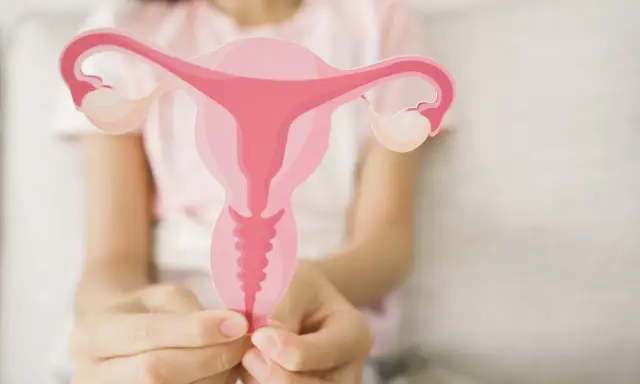 Dłoń trzyma wycięty z papieru model narządów rodnych kobiety, symbolizujący troskę o zdrowie intymne i problem nawracających infekcji intymnych.