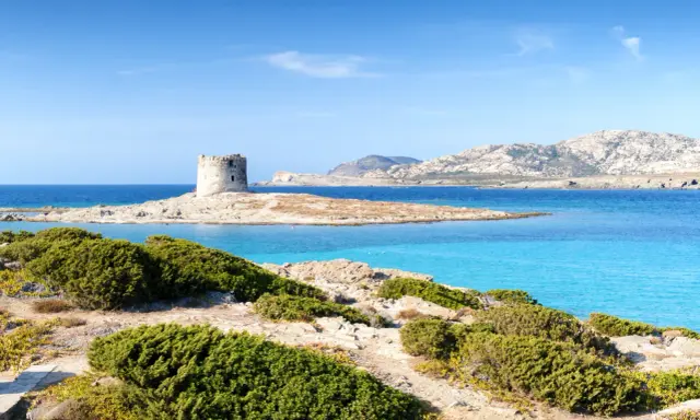 Torre aragonese su isolotto roccioso, mare turchese e macchia mediterranea. Alghero la Pelosa distanza, un sogno sardo.