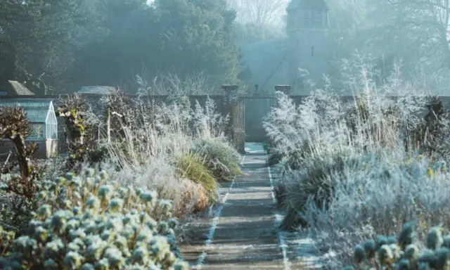 Sentier givré menant à un portail, avec des herbes hautes et un petit bâtiment de jardin. L'arbre de Judée en hiver se prépare au printemps.
