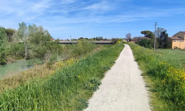 Sentiero ghiaioso della ciclovia del Savio, fiancheggiato da erba verde e fiori gialli, con un fiume sulla sinistra e case in lontananza.
