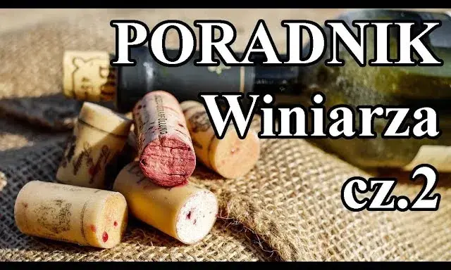 Kiedy butelkować wino domowe? Poznaj kluczowe sygnały i uniknij wpadki