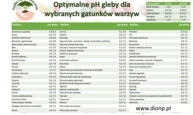 Tabela optymalnego pH gleby dla wybranych gatunków warzyw. Znajdziesz tu informacje o tym, jakie pH gleby jest najlepsze dla Twoich roślin.