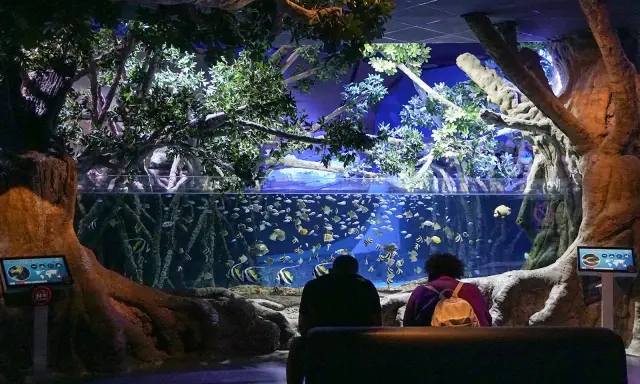 Besucher bestaunen im Aquarium Sevilla eine Welt voller bunter Fische, umgeben von üppiger Vegetation und beeindruckenden Baumstämmen.