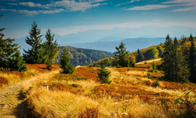 Jesienne barwy gór zachęcają do wędrówki. Wspaniałe widoki, gdzie w góry we wrześniu to idealny plan.