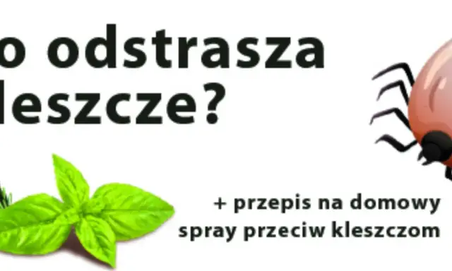 Kleszcze: Jak się chronić? Skuteczne metody dla ludzi i zwierząt