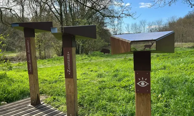 Des jumelles d'observation dans un parc, une affiche "Sens dessus dessous" et une autre "Zoorama". Un cerf et un sanglier sont visibles dans le paysage.