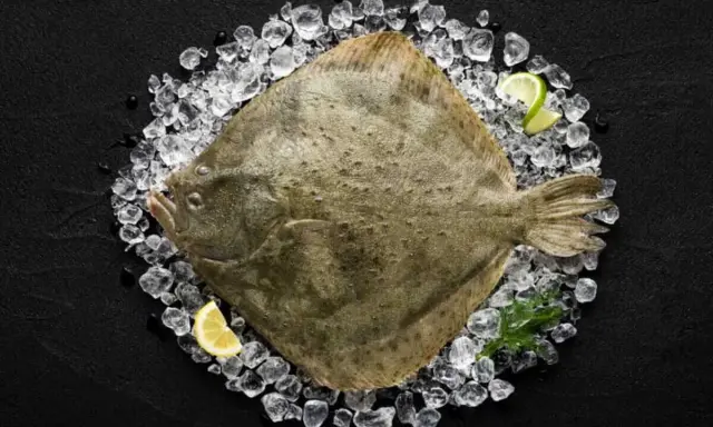 Ein ganzer Butt Fisch liegt auf Eis, garniert mit Zitronen- und Limettenspalten.