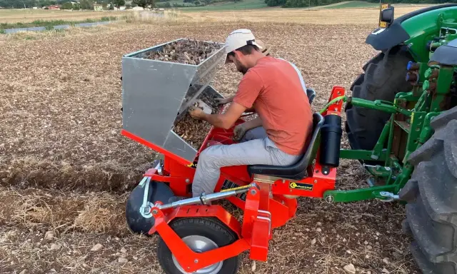 Un agriculteur utilise une machine pour planter des bulbes de safran. C'est le bon moment pour savoir quand arracher les bulbes de safran.