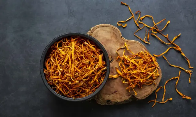 Un bol de cordyceps séchés, connus pour leurs nombreux bienfaits, est posé sur un fond sombre. Quelques brins dorés s'échappent du bol.