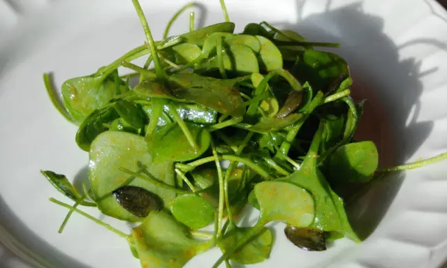 Salade de claytone de Cuba, fraîche et croquante, assaisonnée d'épices.