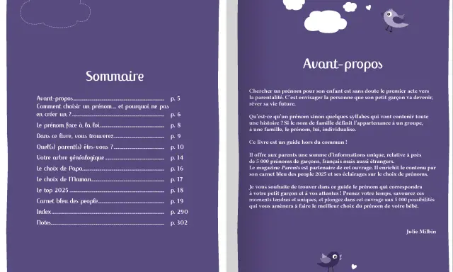 Sommaire d'un guide pour choisir un prénom fantasy homme. Le livre propose 5000 prénoms de garçons, français et étrangers.