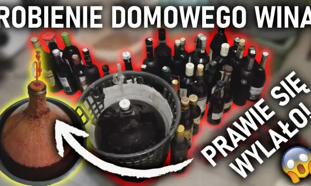 Jak zrobić dobre wino w domu? Twój przewodnik krok po kroku.
