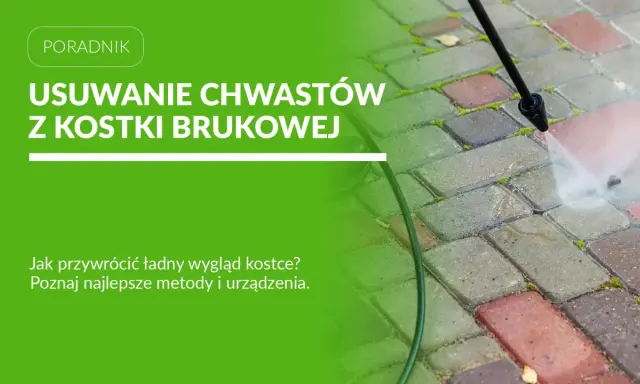Myjka ciśnieniowa usuwa chwasty z kostki brukowej, przywracając jej estetyczny wygląd.