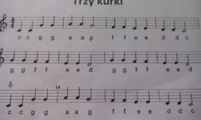 Wlazł kotek na płotek na flecie: Zagraj to dziś! Prosty poradnik.
