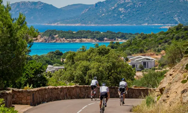 Drei Radfahrer genießen eine Tour mit dem **Korsika Rennrad** entlang der Küste mit türkisblauem Meer und Bergen im Hintergrund.