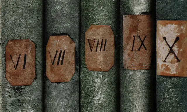 Alte Bücher mit grünen Einbänden, auf denen die lateinischen Zahlen VI, VII, VIII, IX und X stehen.