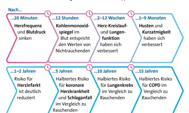 Rauchstopp verbessert Durchblutung: Herzfrequenz sinkt, Risiko für Herzinfarkt und Lungenkrebs reduziert sich.