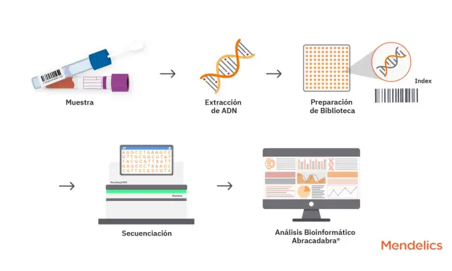 Proceso de NGS medicina: muestra, extracción de ADN, preparación de biblioteca, secuenciación y análisis bioinformático.
