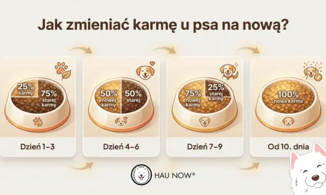 Grafika pokazuje stopniową zmianę karmy u psa: 25% nowej karmy przez 3 dni, potem 50/50, następnie 75% nowej karmy, aż do 100% nowej karmy od 10. dnia.
