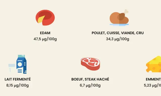 Le foie est le champion de la vitamine K2, suivi par l'Edam et le poulet. D'autres aliments comme le jaune d'œuf et le lait fermenté en contiennent aussi.