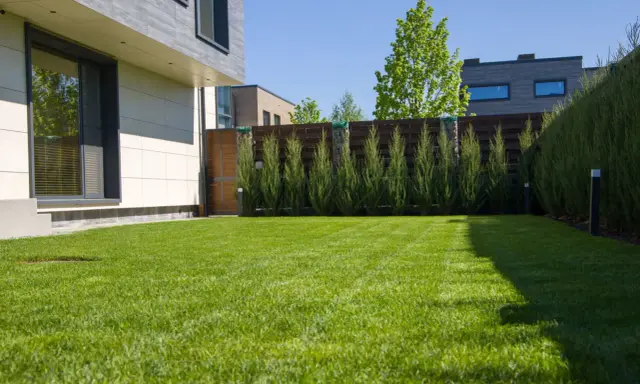 Un gazon vert et bien entretenu devant une maison moderne. Ce paysage donne envie de savoir quel gazon choisir pour un tel résultat.