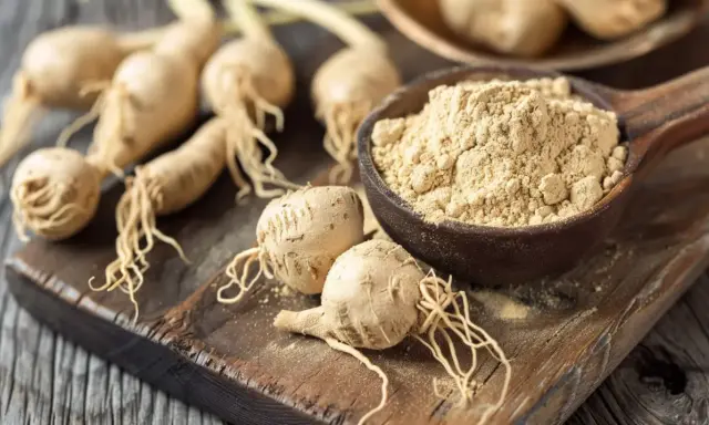 Korzeń maca i proszek na drewnianej desce. Odkryj niezwykłe maca właściwości tego superfoods, cenionego za energię i witalność.