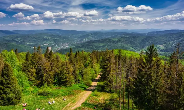 Piękny widok na Beskid Śląski z lasem iglastym i polaną, gdzie odpoczywają ludzie. W oddali widać góry i miasteczko.