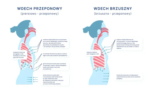 Ilustracja pokazuje dwa rodzaje wdechu: piersiowo-przeponowy i brzuszno-przeponowy. W obu przypadkach kluczowe jest **oddychanie przeponowe**, które angażuje przeponę do głębszego wdechu.