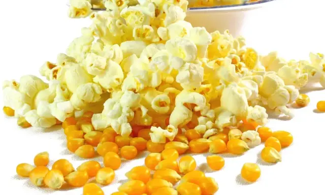 Kukurydza i gotowy popcorn, który pokazuje, czy da się zrobić popcorn w piekarniku.