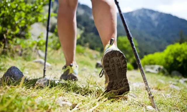Nogi w butach trekkingowych i kijki wspierają chodzenie po górskim szlaku.