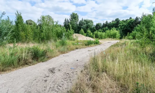 Piaszczysta droga przez zarośla, stos piasku i drzewa. Czy można wypowiedzieć służebność drogi w takim miejscu?