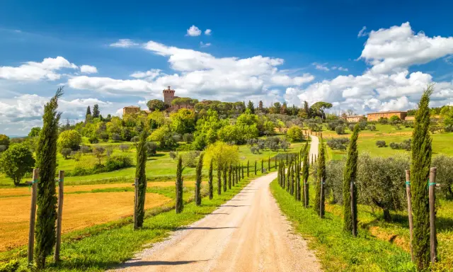 Strada sterrata tra cipressi e ulivi, con un borgo in collina. Perfetto per scoprire cosa visitare in Toscana in 1 giorno.