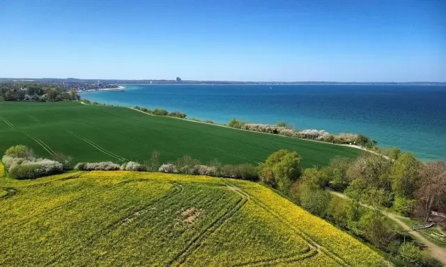 Grüne Felder und Rapsblüten vor der blauen Ostsee und Küstenlinie der Lübecker Bucht.