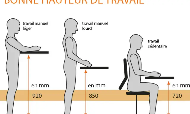 Illustration montrant la hauteur idéale pour le travail manuel léger (920 mm), le travail manuel lourd (850 mm) et le travail sédentaire (720 mm) pour une personne assise.