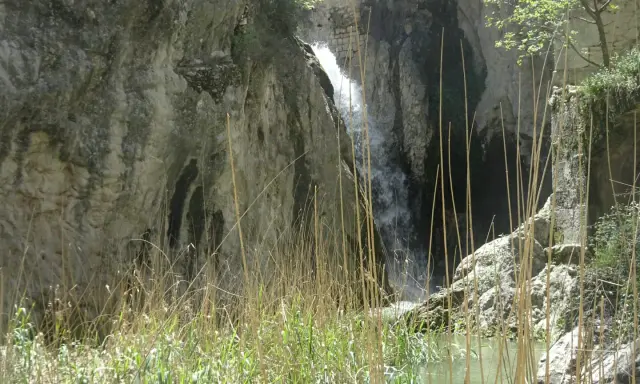 Cascada en un cañón rocoso, con juncos en primer plano. Un lugar ideal para explorar las rutas de agua en Alicante.