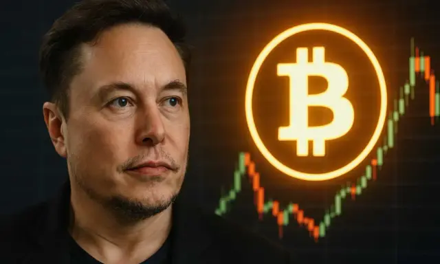 Elon Musk, symbol Bitcoina i wykres giełdowy. Kim jest Elon Musk? Wizjoner, przedsiębiorca, inwestor.