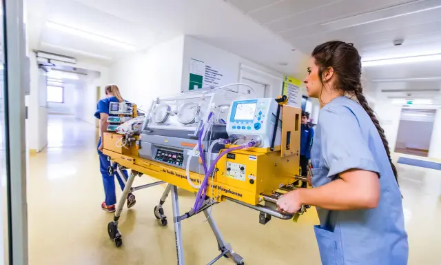 Infermiera spinge un'incubatrice mobile in un corridoio ospedaliero. Quanto tempo in terapia intensiva neonatale è cruciale per questi piccoli pazienti.