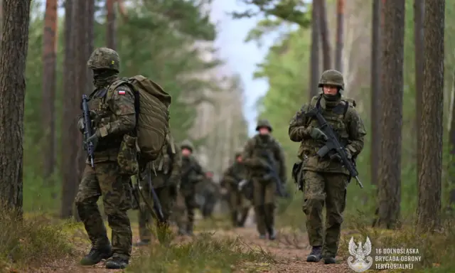 Z WOT do wojska zawodowego: Twój przewodnik po karierze w armii
