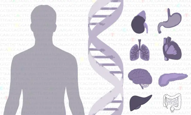 El ADN y órganos humanos, sugiriendo que la genética define qué es un mutante.