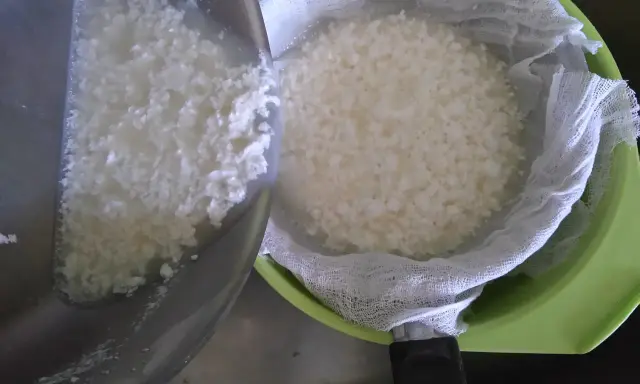 Jak zrobić bryndzę z buncu? Domowy przepis krok po kroku