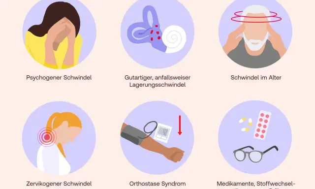 Sechs Kreise zeigen Ursachen für Schwindel: psychogen, Innenohr, Alter, Nacken (zervikogener Schwindel), Blutdruck, Medikamente.