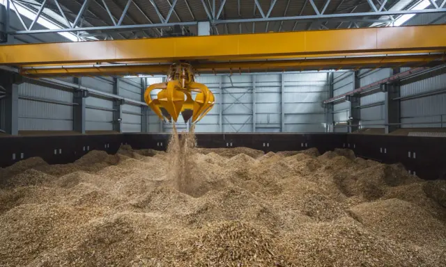 Ein Greifer lädt Holzspäne, ein Beispiel für Biomasse, in einen Lagerraum.