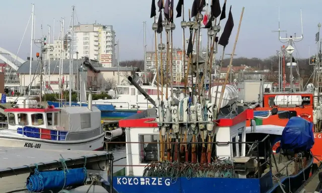 Świeża ryba w Kołobrzegu: Gdzie kupić i jak rozpoznać?