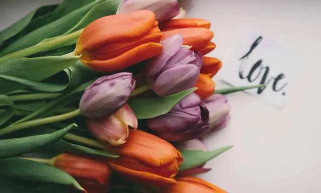 Bukiet pomarańczowych i fioletowych tulipanów z kartką "love". Przypomnienie, jak być dobrym dla siebie.