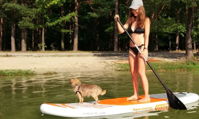 Dziewczyna w bikini i jej pies na desce pompowanej SUP, cieszą się letnim dniem na spokojnej wodzie.