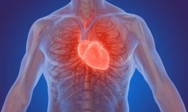 Anatomia ludzkiego ciała z widocznym, świecącym na czerwono sercem. Czy to znak, że espiro lek na co?