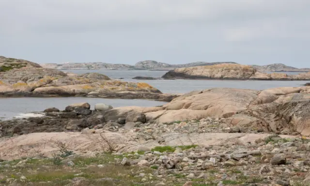Klippiga öar och skär i havet, där tjurpannan leder vägen genom det karga landskapet.