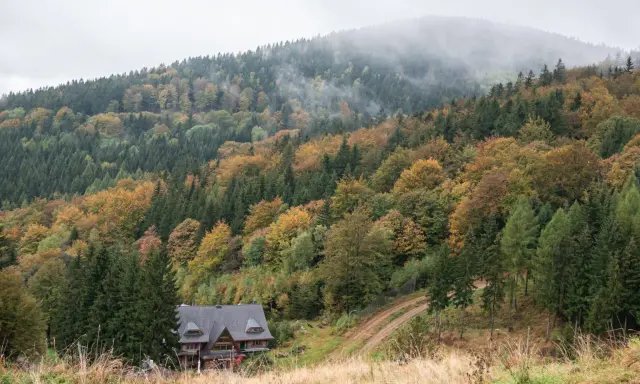 Jesienny las w górach na Śląsku, z mgłą spowijającą szczyty. Na zboczu stoi drewniany dom, otoczony złotymi i zielonymi drzewami.